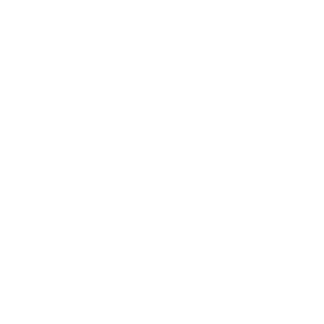 Enter Zion